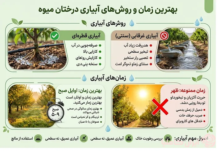 بهترین روش آبیاری درختان میوه